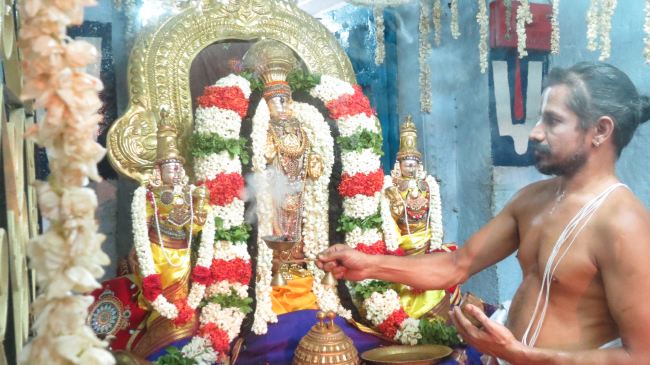 Thiruvelukkai Sri Azhagiyasingaperumal temple Manmadha varusha pirappu purappadu  2015 17
