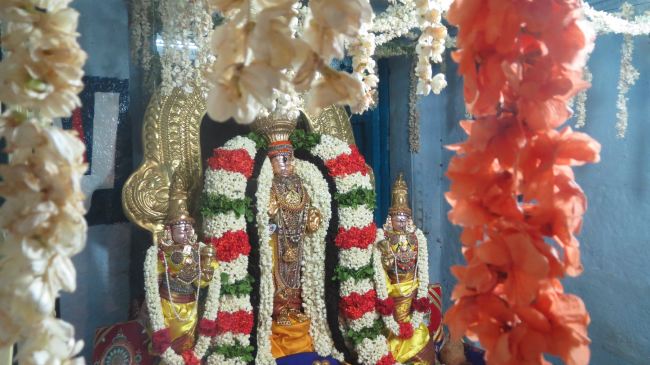 Thiruvelukkai Sri Azhagiyasingaperumal temple Manmadha varusha pirappu purappadu  2015 20