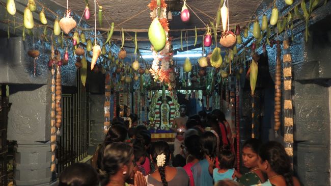 Thiruvelukkai Sri Azhagiyasingaperumal temple Manmadha varusha pirappu purappadu  2015 30