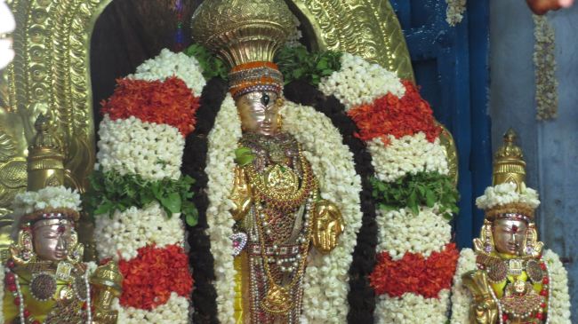Thiruvelukkai Sri Azhagiyasingaperumal temple Manmadha varusha pirappu purappadu  2015 34