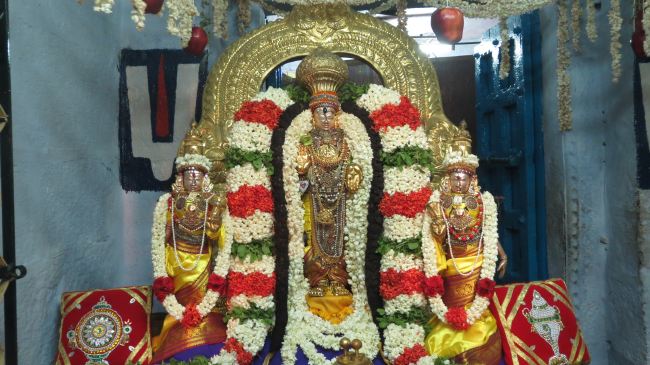 Thiruvelukkai Sri Azhagiyasingaperumal temple Manmadha varusha pirappu purappadu  2015 36