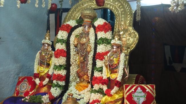 Thiruvelukkai Sri Azhagiyasingaperumal temple Manmadha varusha pirappu purappadu  2015 38
