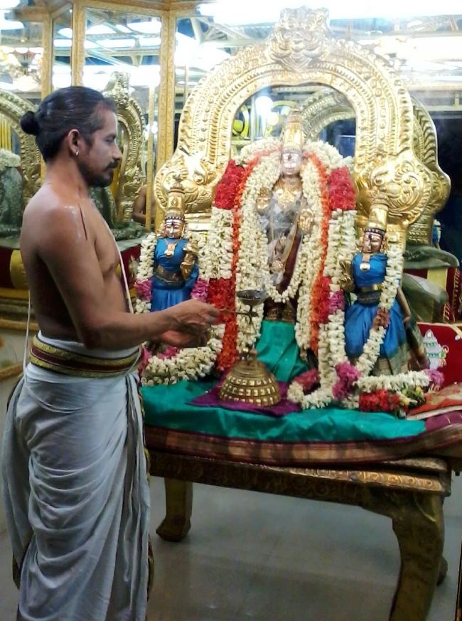 Thiruvelukkai Sri Mukundanayaga Perumal Panguni swathi sevai 2015 -13