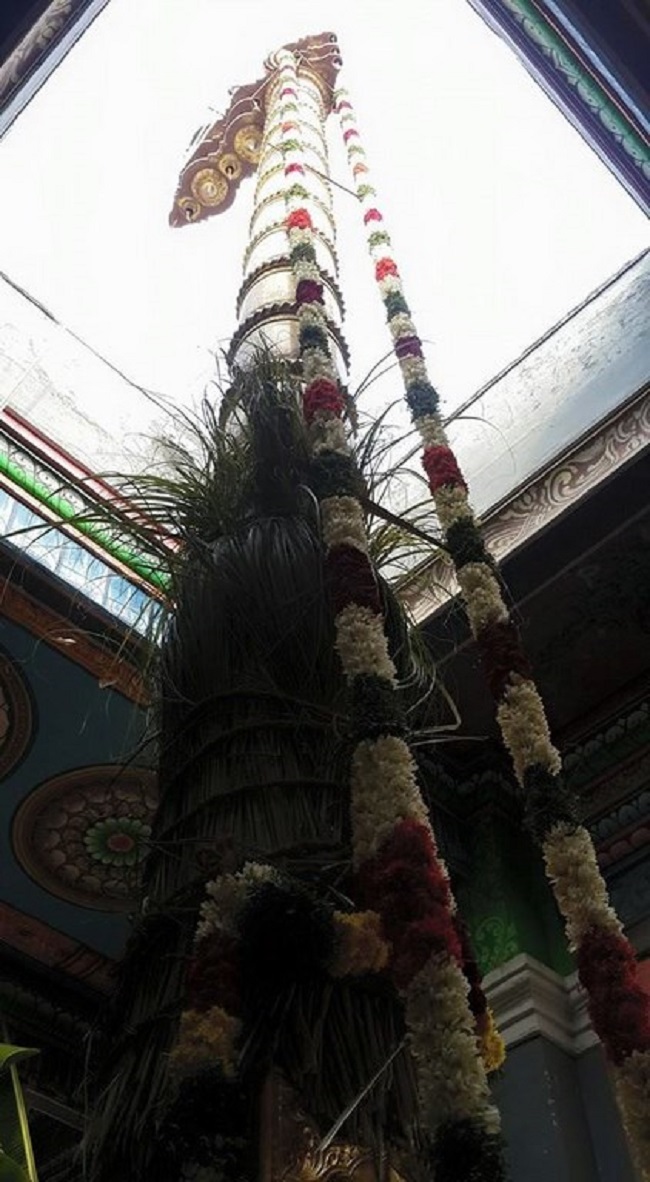 Thiruvinnagar Sri Oppilliappan Venkatachalapathi Temple Panguni Brahmotsavam Commences22