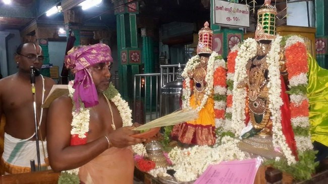 Thiruvinnagar Sri Oppilliappan Venkatachalapathi Temple Panguni Brahmotsavam Concludes1