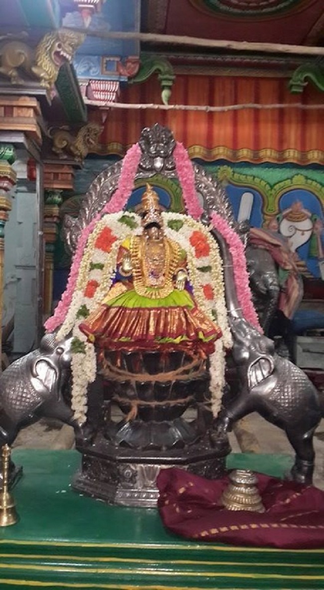 Thiruvinnagar Sri Oppilliappan Venkatachalapathi Temple Panguni Brahmotsavam10