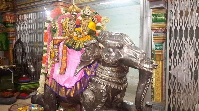 Thiruvinnagar Sri Oppilliappan Venkatachalapathi Temple Panguni Brahmotsavam10
