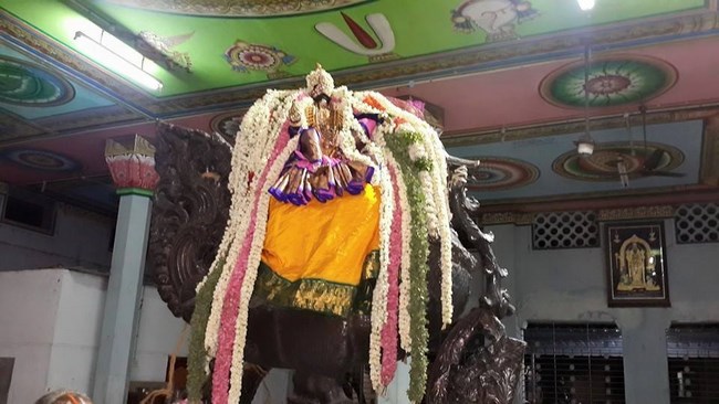 Thiruvinnagar Sri Oppilliappan Venkatachalapathi Temple Panguni Brahmotsavam1