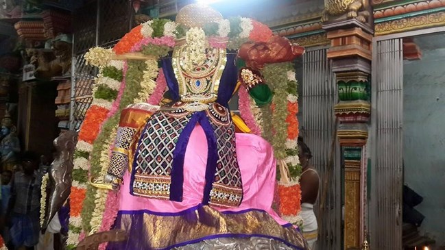 Thiruvinnagar Sri Oppilliappan Venkatachalapathi Temple Panguni Brahmotsavam11