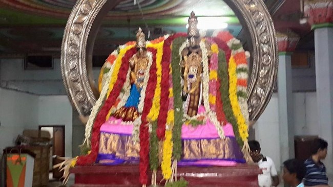 Thiruvinnagar Sri Oppilliappan Venkatachalapathi Temple Panguni Brahmotsavam12