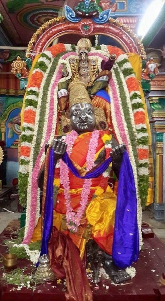 Thiruvinnagar Sri Oppilliappan Venkatachalapathi Temple Panguni Brahmotsavam13