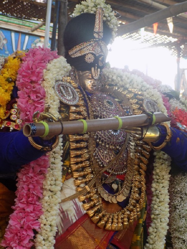 Thiruvinnagar Sri Oppilliappan Venkatachalapathi Temple Panguni Brahmotsavam13