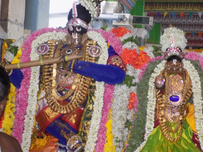 Thiruvinnagar Sri Oppilliappan Venkatachalapathi Temple Panguni Brahmotsavam16