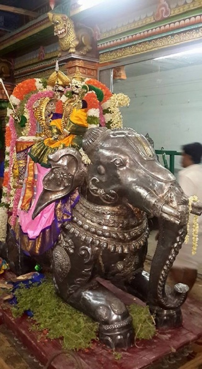 Thiruvinnagar Sri Oppilliappan Venkatachalapathi Temple Panguni Brahmotsavam17
