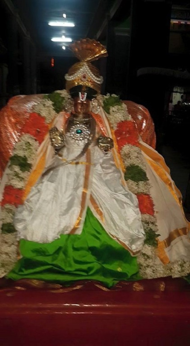 Thiruvinnagar Sri Oppilliappan Venkatachalapathi Temple Panguni Brahmotsavam18