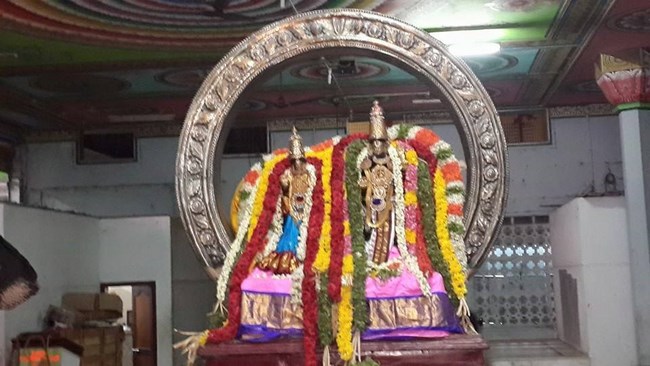 Thiruvinnagar Sri Oppilliappan Venkatachalapathi Temple Panguni Brahmotsavam19