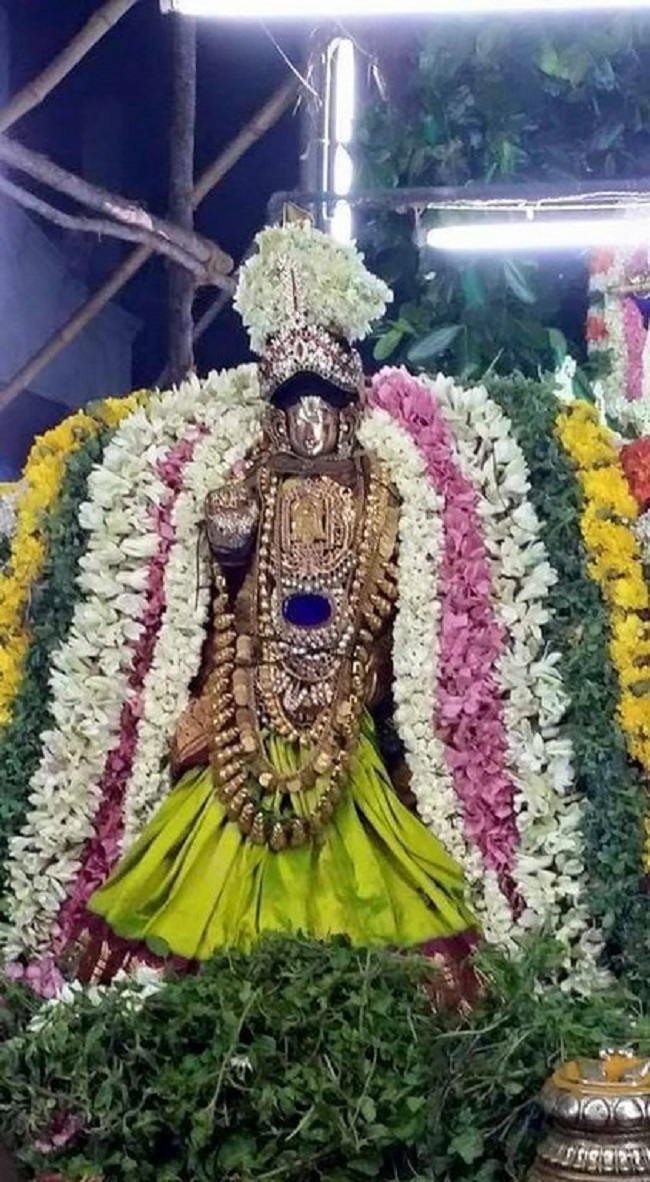 Thiruvinnagar Sri Oppilliappan Venkatachalapathi Temple Panguni Brahmotsavam20