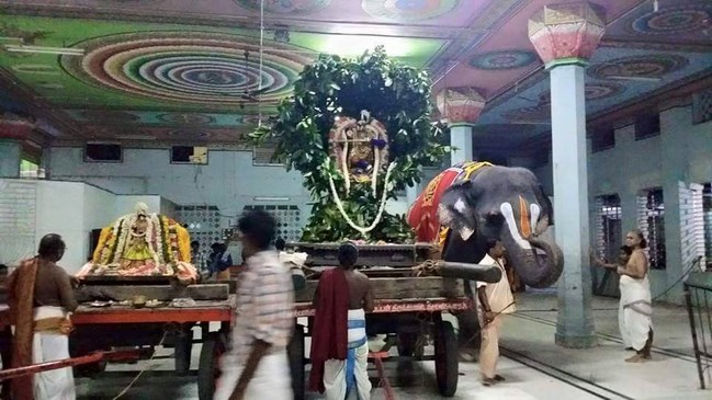 Thiruvinnagar Sri Oppilliappan Venkatachalapathi Temple Panguni Brahmotsavam21