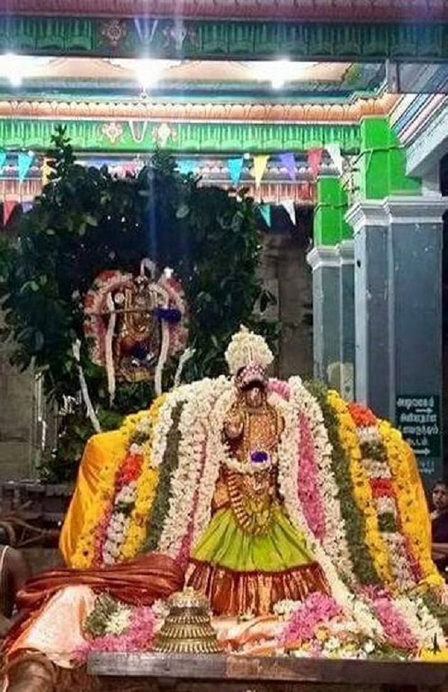 Thiruvinnagar Sri Oppilliappan Venkatachalapathi Temple Panguni Brahmotsavam22