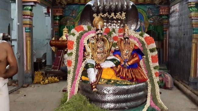 Thiruvinnagar Sri Oppilliappan Venkatachalapathi Temple Panguni Brahmotsavam23