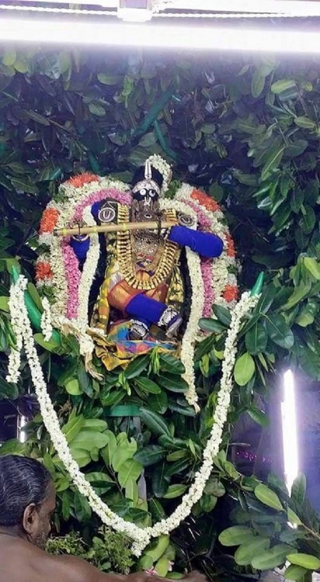 Thiruvinnagar Sri Oppilliappan Venkatachalapathi Temple Panguni Brahmotsavam23