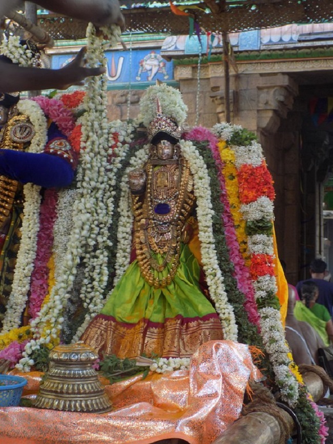 Thiruvinnagar Sri Oppilliappan Venkatachalapathi Temple Panguni Brahmotsavam25