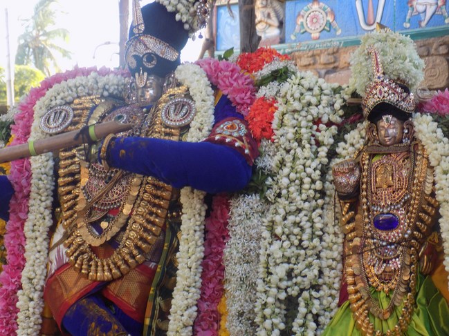 Thiruvinnagar Sri Oppilliappan Venkatachalapathi Temple Panguni Brahmotsavam26