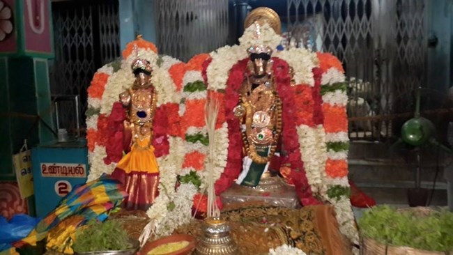 Thiruvinnagar Sri Oppilliappan Venkatachalapathi Temple Panguni Brahmotsavam31
