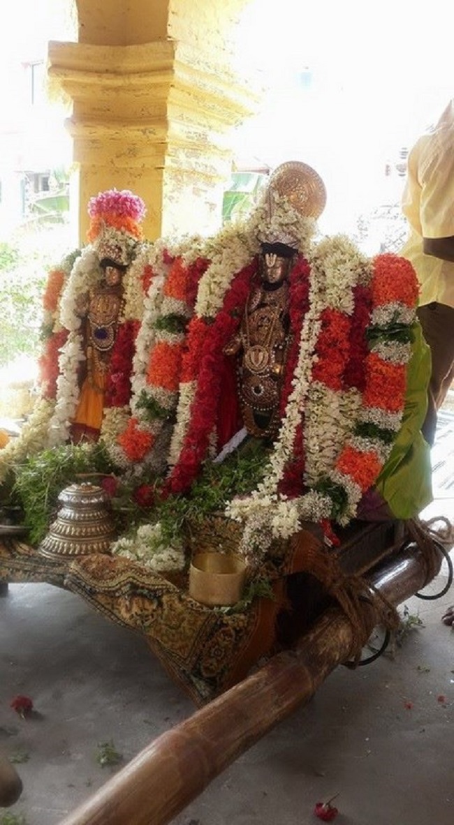 Thiruvinnagar Sri Oppilliappan Venkatachalapathi Temple Panguni Brahmotsavam42