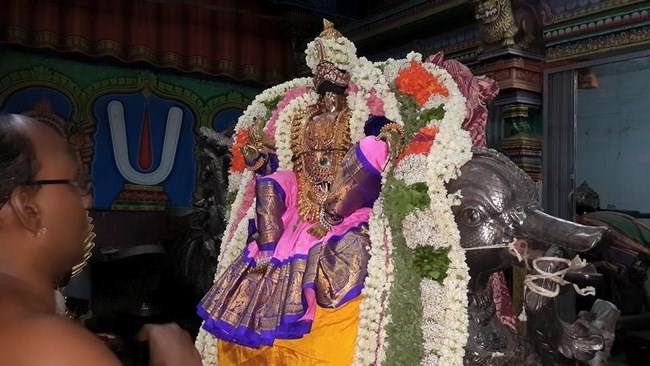 Thiruvinnagar Sri Oppilliappan Venkatachalapathi Temple Panguni Brahmotsavam5
