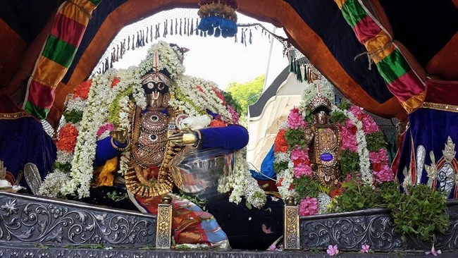 Thiruvinnagar Sri Oppilliappan Venkatachalapathi Temple Panguni Brahmotsavam5