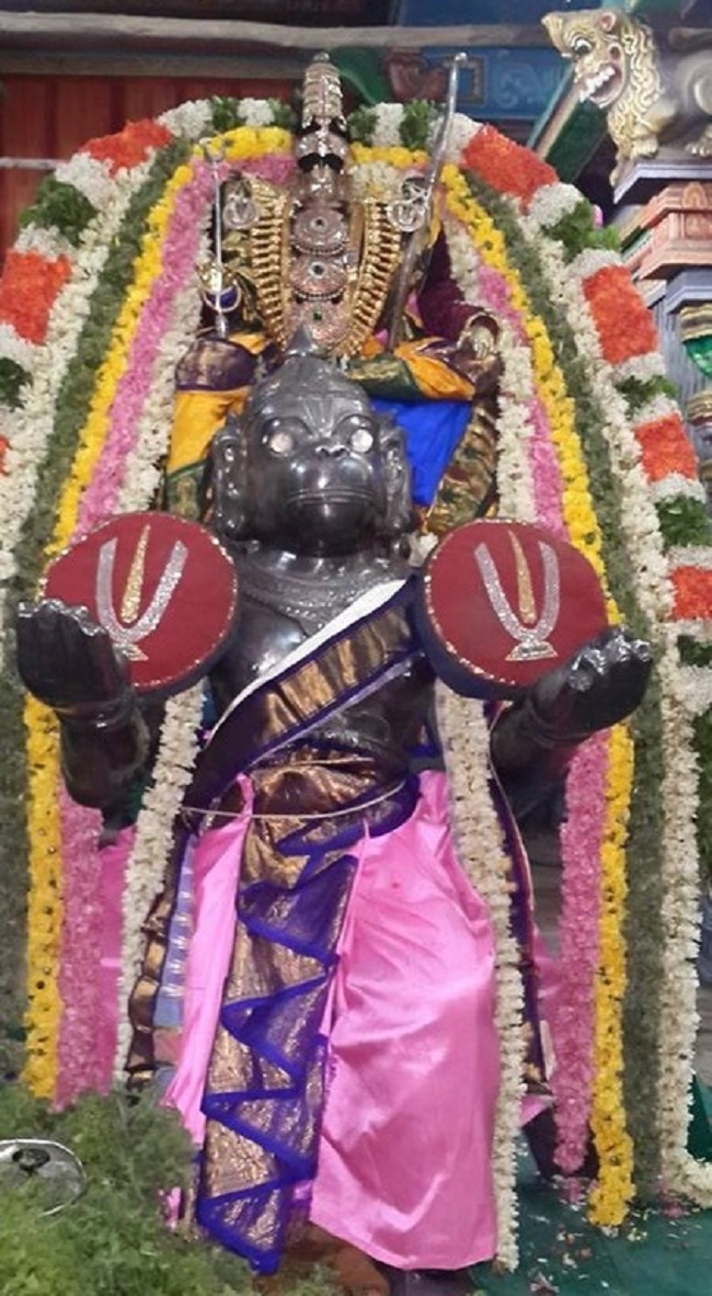 Thiruvinnagar Sri Oppilliappan Venkatachalapathi Temple Panguni Brahmotsavam6