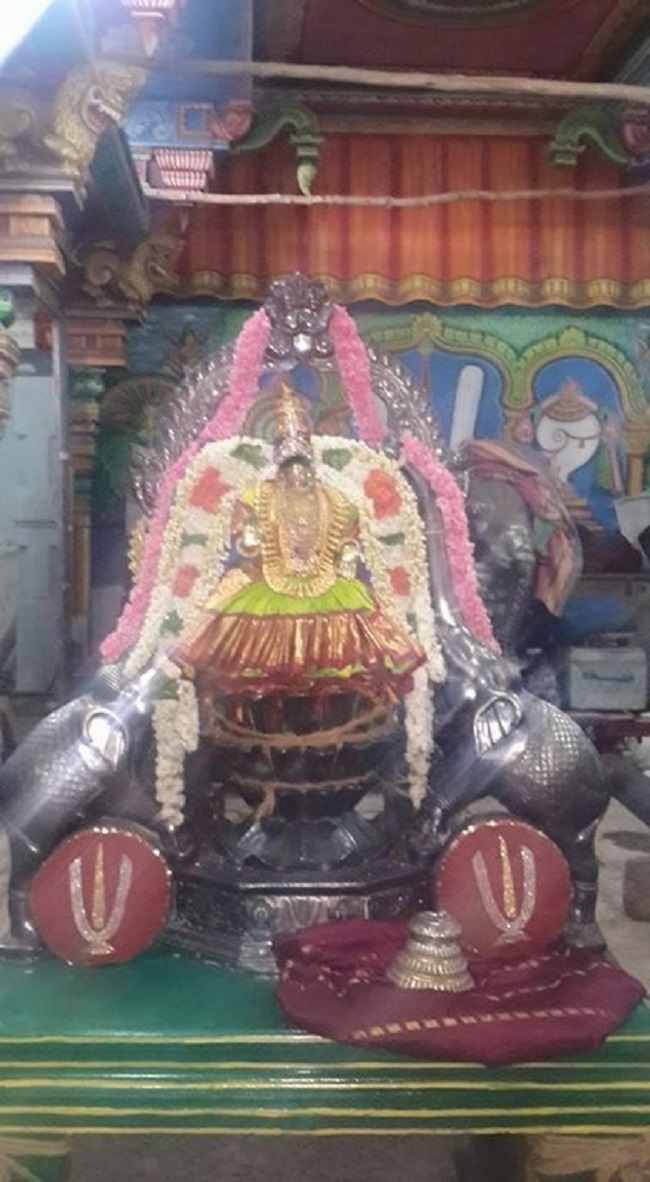 Thiruvinnagar Sri Oppilliappan Venkatachalapathi Temple Panguni Brahmotsavam8