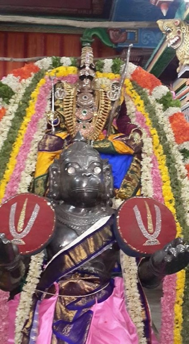 Thiruvinnagar Sri Oppilliappan Venkatachalapathi Temple Panguni Brahmotsavam9