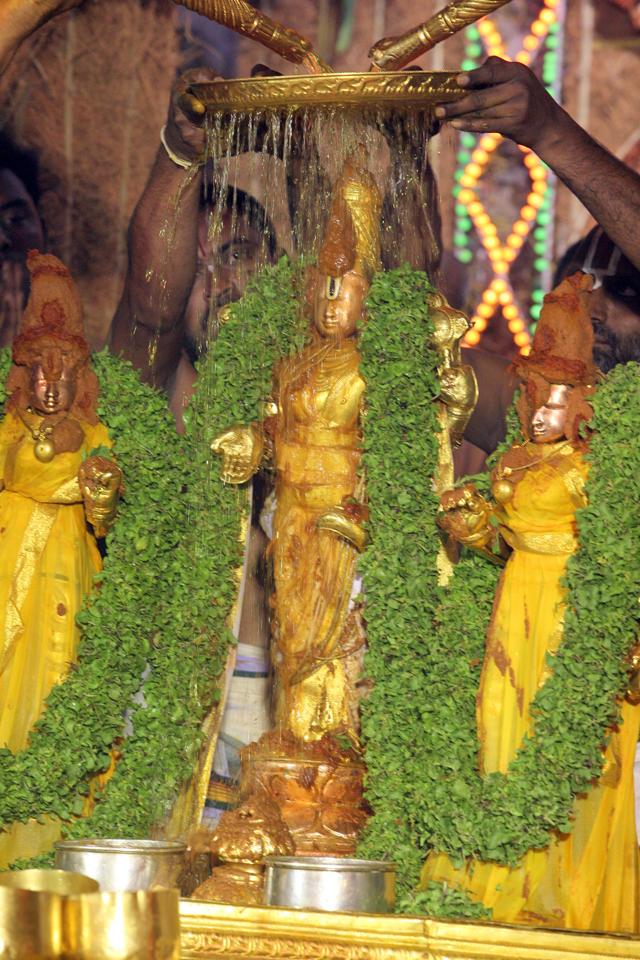 Tirumala-Snapana-Thirumanjanam-Day-2-Vasanthotsavam2