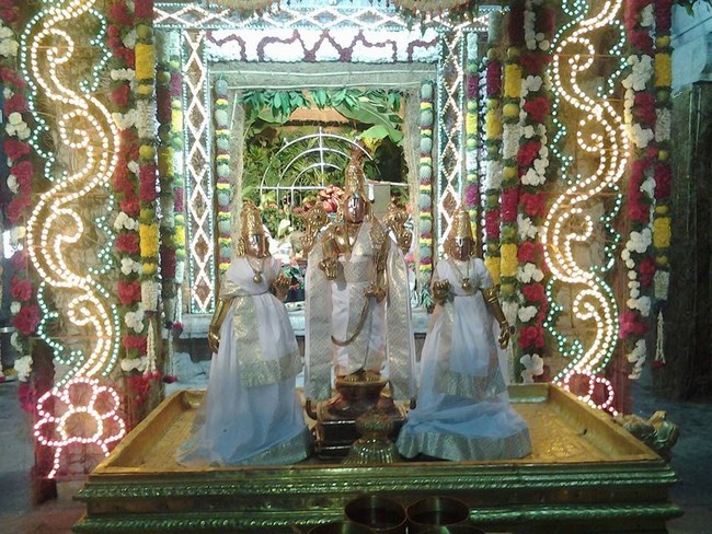 Tirumala Sri Malayappaswamy Temple Varshika Vasanthotsavam Commences5
