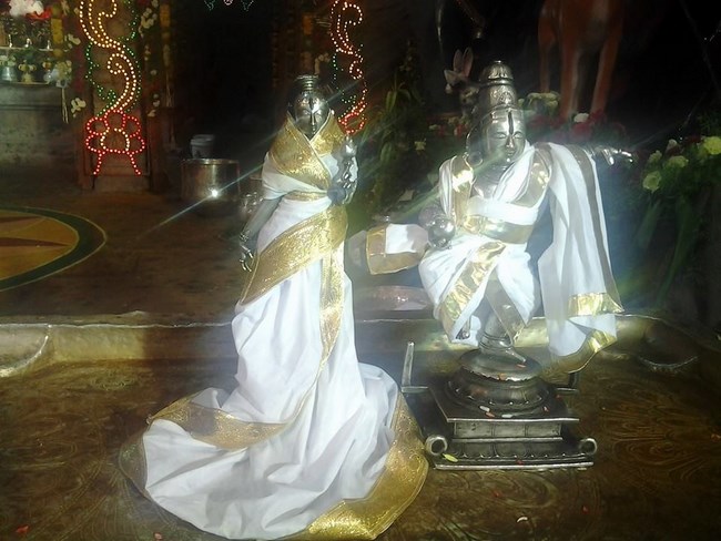 Tirumala Sri Malayappaswamy Temple Varshika Vasanthotsavam Concludes14