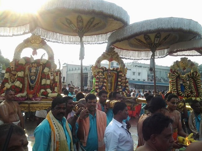 Tirumala Sri Malayappaswamy Temple Varshika Vasanthotsavam Concludes6