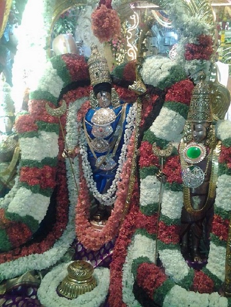 Tirumala Sri Malayappaswamy Temple Varshika Vasanthotsavam Concludes8