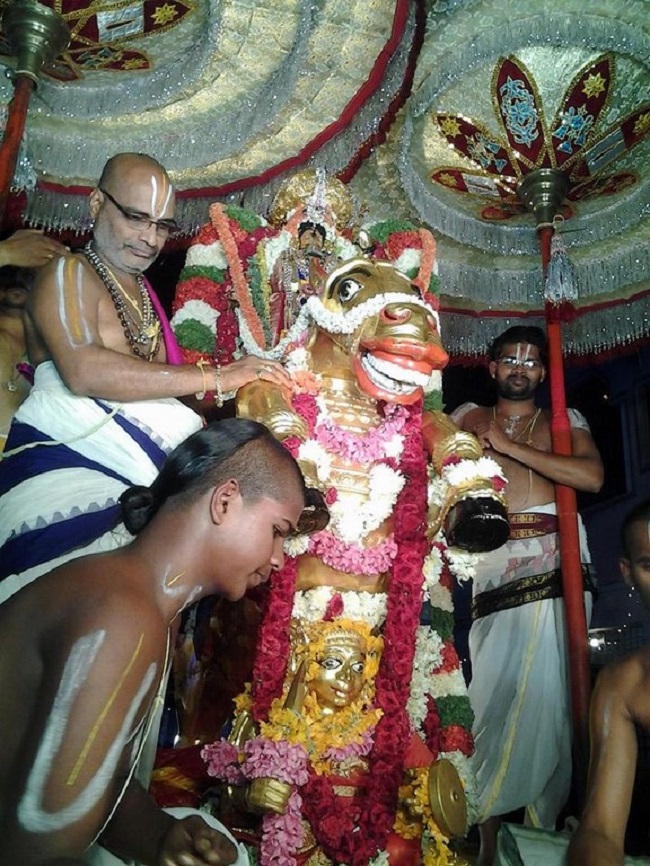 Tirupathi Sri Kothandaramaswamy Temple Brahmotsavam8