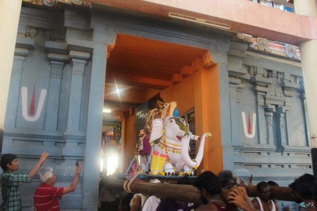 Vaduvur Sri Kothandaramaswamy Temple Sri Ramanavami Brahmotsavam23