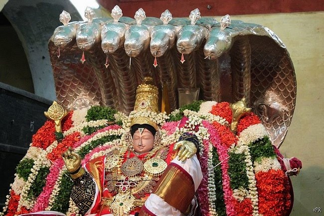 Vaduvur Sri Kothandaramaswamy Temple Sri Ramanavami Brahmotsavam2