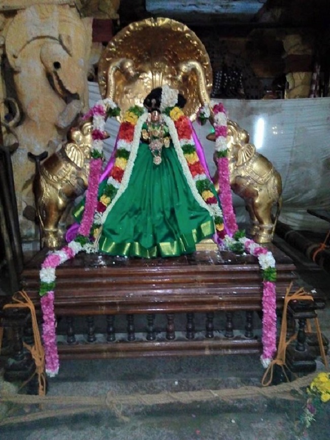 Vanamamalai Sri Deivanayaga Perumal Temple Chithirai Brahmotsavam Commences12