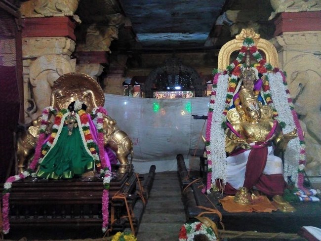 Vanamamalai Sri Deivanayaga Perumal Temple Chithirai Brahmotsavam Commences15