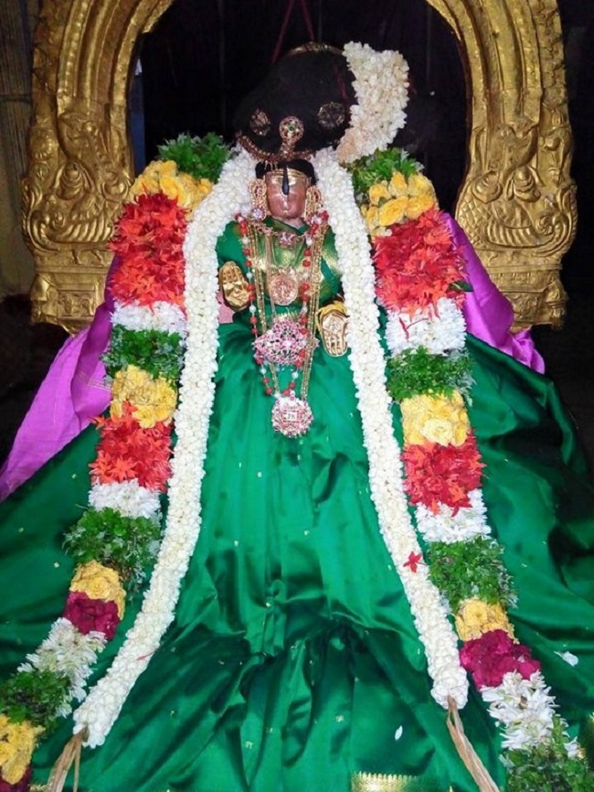 Vanamamalai Sri Deivanayaga Perumal Temple Chithirai Brahmotsavam Commences17