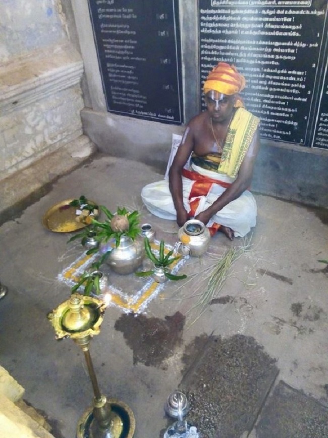 Vanamamalai Sri Deivanayaga Perumal Temple Chithirai Brahmotsavam Commences19
