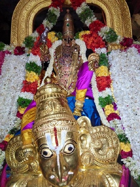 Vanamamalai Sri Deivanayaga Perumal Temple Chithirai Brahmotsavam Commences20