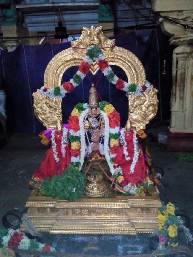 Vanamamalai Sri Deivanayaga Perumal Temple Chithirai Brahmotsavam Commences8