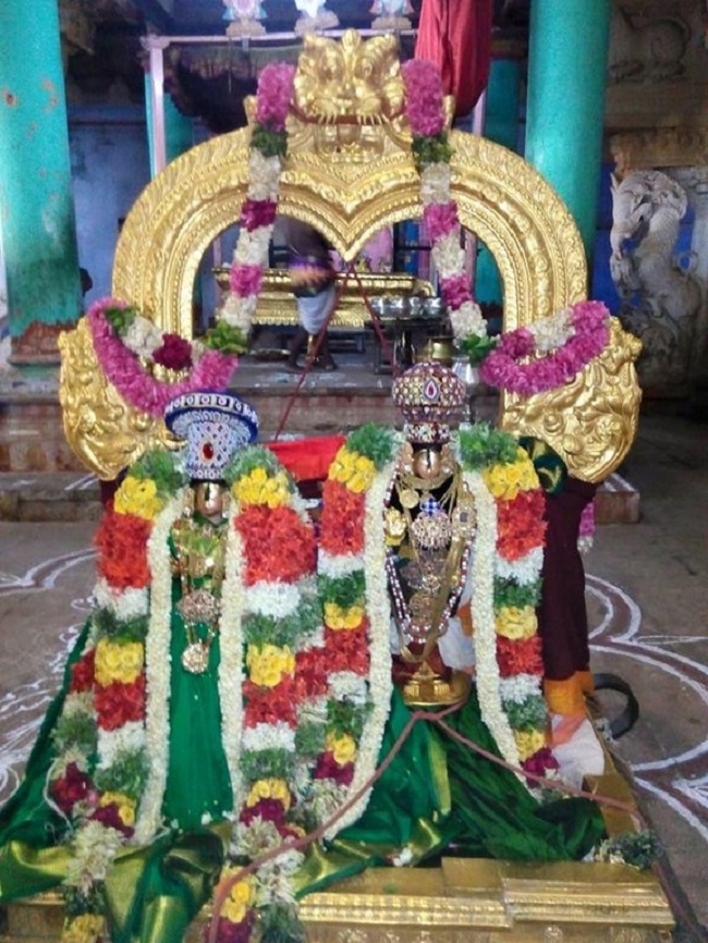 Vanamamalai Sri Deivanayaga Perumal Temple Chithirai Brahmotsavam11
