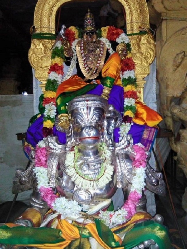 Vanamamalai Sri Deivanayaga Perumal Temple Chithirai Brahmotsavam13